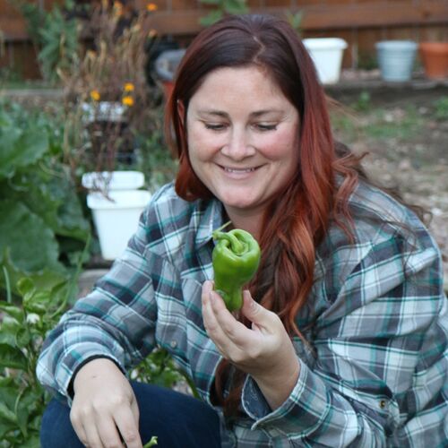 Countertop Compost Bin - Compost Queen Fort Collins