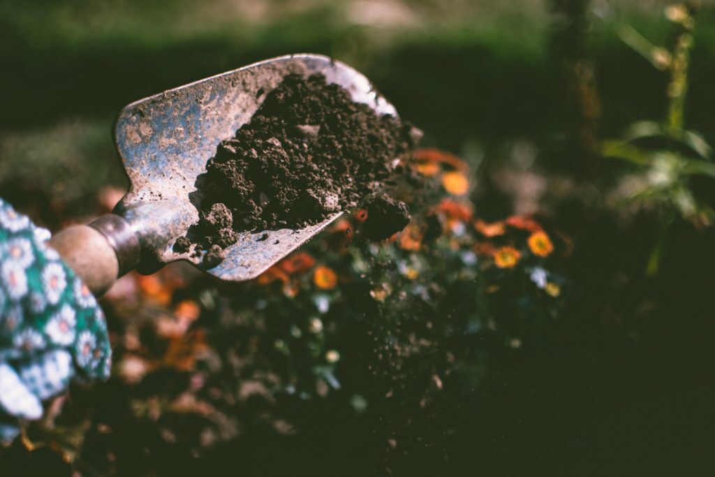 Countertop Compost Bin - Compost Queen Fort Collins